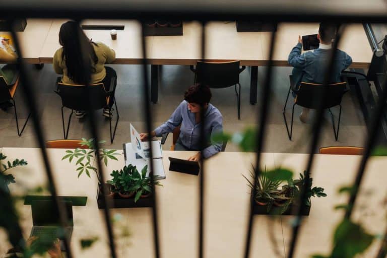 Personnes travaillant à une table avec des plantes.